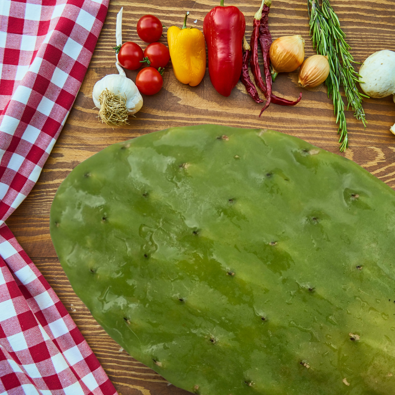 A Nopales Cactus (Spineless Prickly Pear)